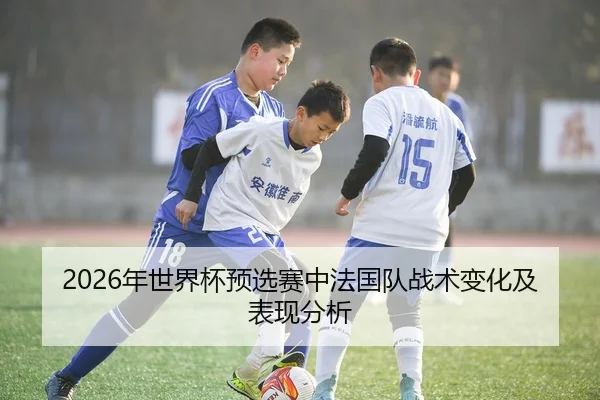2026年世界杯预选赛中法国队战术变化及表现分析
