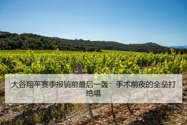 大谷翔平赛季报销前最后一轰：手术前夜的全垒打绝唱
